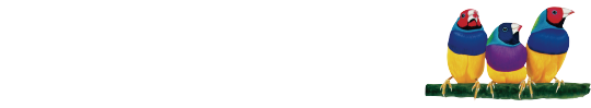 ViewSonic
